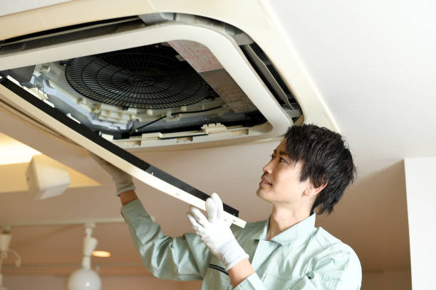 Best Air Duct Sanitizing Services  in Zephyrhills, FL