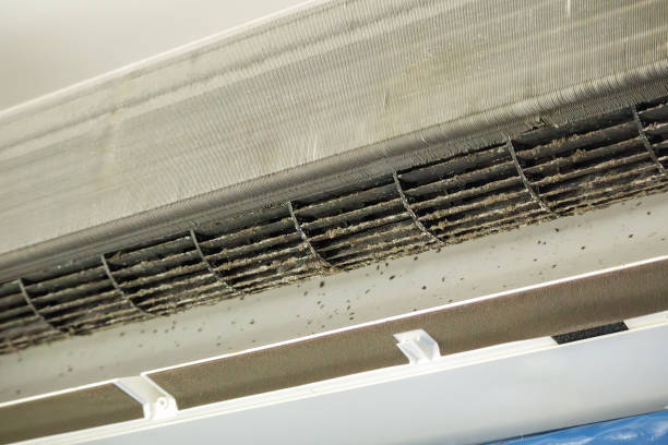 Best Home Air Vent Cleaning  in Zephyrhills, FL