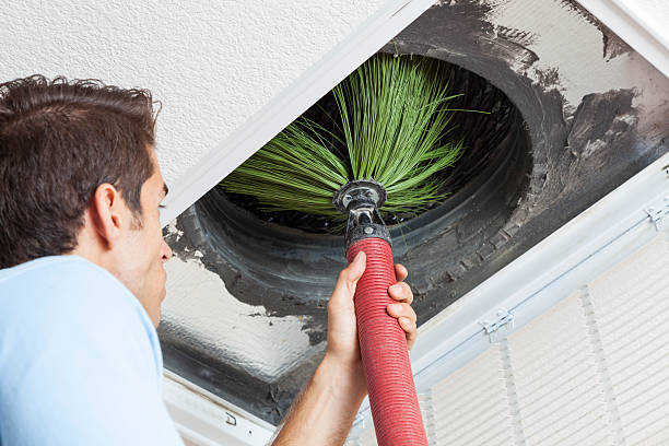 Best Local Air Duct Cleaning Services  in Zephyrhills, FL